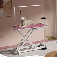 Table de toilettage électrique de luxe personnalisée, réglable en hauteur, en métal, pour chiens et chats, avec fonction sèche-cheveux