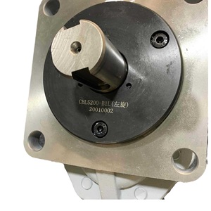 Motor Hidráulico Huamao CMG2025-B1 para Plataformas de Perforación HDD y Equipos de Minería |   Repuesto de Alto Torque - Product Image 4