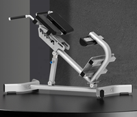 Équipement de fitness musculation musculation sans haltérophilie réglable Multi dos Extension formation banc de chaise romaine