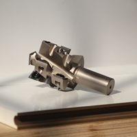 Fraise hélicoïdale à 4 dents, diamètre de coupe 50 mm, plaquettes en carbure indexables pour le rabotage des surfaces en bois
