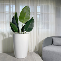 Pot bunga Nordic dengan penyerapan air otomatis Diameter besar lantai plastik desain Modern-grosir pasokan langsung pabrik