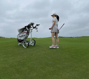 Dubbele Handgreep 24V Dc Lithium Batterij Elektrische Aandrijving Afstandsbediening Afstandsbediening Golf <span class=keywords><strong>Trolley</strong></span> - Product Image 4