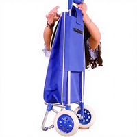 Sacs de courses réutilisables miniatures bon marché, chariot de courses pliable, chariot de courses pliable, chariot de courses pliable pour épicerie