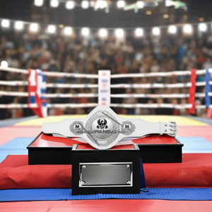 เข็มขัดศิลปะการต่อสู้แบบกำหนดเอง ผลิตจากหนัง PU เป็นมิตรกับสิ่งแวดล้อม สำหรับการแข่งขันเทควันโด มวย MMA และมวยปล้ำ - สีทอง/สีเงิน สำหรับทุกเพศ - Product Image 1