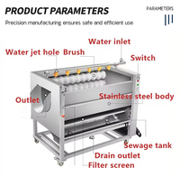 Joyshine 2024 Machine industrielle à laver et à éplucher les pommes de terre au gingembre Machine à éplucher les pommes de terre et les carottes à vendre