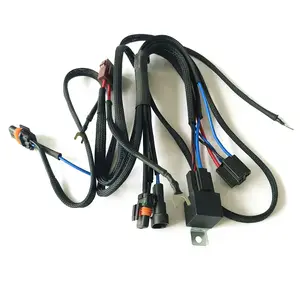 High quality 30A Auto Relay 12V Manufacturer OEM custom wire harness cable assembly wiring loom