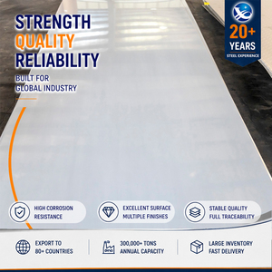 304 310S Bead Blasted 3.0mm x 1500mm 4'x10' Cold Rolled AISI Stainless Steel Sheet with High Corrosion Resistance - Product Image 1