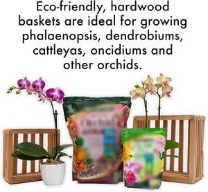 Panier <span class=keywords><strong>en</strong></span> bois fabriqué à la main plantation de bois planteur lit divisible jardin pour fleurs légumes herbes arrière-cour artisanat <span class=keywords><strong>en</strong></span> bois - Product Image 5