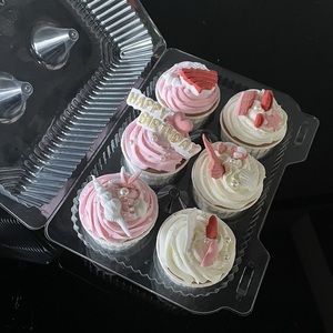 Cheap 6 cavity cupcake boxes plastic clear mini cupcake container