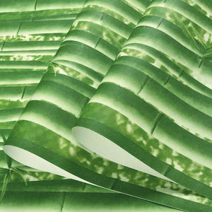 <span class=keywords><strong>Papier</strong></span> <span class=keywords><strong>peint</strong></span> mural 3d motif <span class=keywords><strong>Jungle</strong></span>, tapisserie <span class=keywords><strong>Jungle</strong></span>, forêt, nouveau modèle, étoffe japonaise - Product Image 2