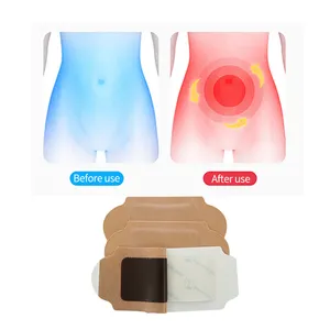 Hoge Effectieve Menstruatiepijn Krampen Schattige Menstruatiepijnverlichting Patch Verwarmingspakket