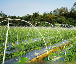 건물 유리 섬유 포스트 플래그 폴 사용자 정의 절단 용 내구성 경량 고강도 펄스 유리 섬유 유리 막대 FRP 스틱 - Product Image 6