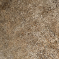 Tissu Velboa en velours super doux 100 % polyester à poils courts, prix d'usine