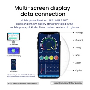 Batería de iones de litio Lifepo4 BMS 200A 250A 58V 15S 16S para sistema de almacenamiento de energía doméstico HESS batería de iones de litio Lifepo4 BMS - Product Image 5