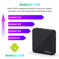 OEM ODM 100M Ethernet Android ATV Box H96max H313 Wifi 6 Tv Box 2G RAM 16G ROM Android Tv Box avec télécommande vocale