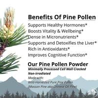 Extrait de pollen de pin sauvage de qualité alimentaire en vrac, extrait végétal, emballage en fût