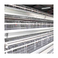Poulailler de haute qualité pour 500 poulets