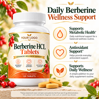 Comprimés de berbérine HCL en marque privée OEM, 1000 mg, 120 comprimés, complément alimentaire