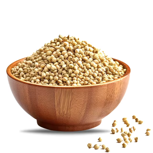 Graines de coriandre indienne naturelle entières, épurées à la machine, qualité export, pour la fabrication alimentaire, approvisionnement en vrac et international - Product Image 2