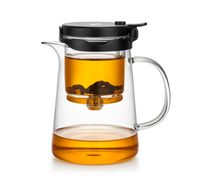Théière en verre de qualité supérieure, sans BPA, capacité 750 ml, certifiée CE, design minimaliste, avec infuseur et poignée en verre
