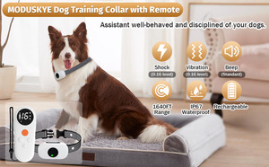 JiaBei New Color <b>Screen</b> Bark Stopper Dog Trainer Anti-Barking Pet Supplies Safe and Harmless to Dogs Precise Bark Control - Product Image 4