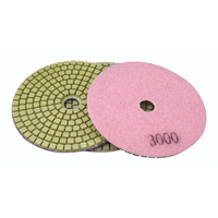 Polisseuses de sol industrielles professionnelles de 100 mm avec disques de polissage diamantés pour carrosseries de voitures OEM