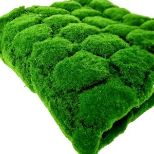 畅销人造植物景观盆景人造草皮植绒苔藓绿色植物环保装饰