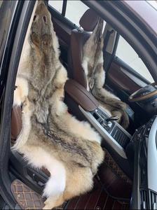 Venta Directa de Fábrica Pieles de Coyote de Alta Calidad Pieles Completas de Coyote - Product Image 2