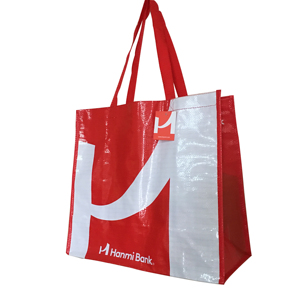 Customize pp Woven Laminated Medium Shopping <b>Tote</b> <b>Bag</b> with <b>Zipper</b> Closure and Shoulder/Hand Length Handles - Product Image 1
