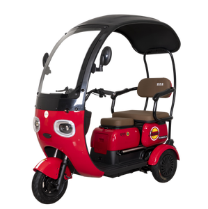 Tricycle Électrique Adulte FGQ 60V 650W à Châssis Ouvert, 3 Roues, 2 Places, Style Urbain, Loisirs et Shopping Familial - Product Image 5