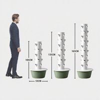 Tour de culture hydroponique et aéroponique pour les fraises