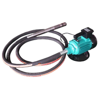 Neuer Typ Kleiner Vibrator mit Leistungsstarkem Motor 5PS 4-Takt Tragbarer Betonvibrator