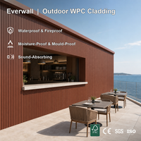Revêtement mural WPC Everwall économique et léger, panneau extérieur durable avec design pré-percé