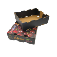 Groothandel op maat gemaakte golfkartonnen kersen dozen, trays, op maat bedrukt, voor export van vers fruit, met matte laminering