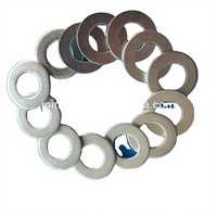 Flat Round Washers DIN125 Zinc Plated High Quality Low Price Made in China