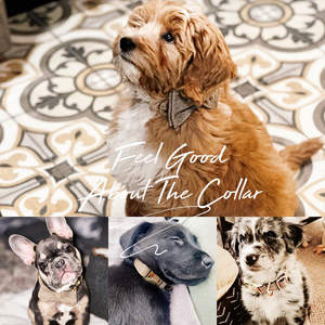 Collar de Perro Personalizado de Terciopelo Marrón Sólido con Lazo, Juego de Correa con Nombre Grabado, Hebilla Metálica, Regalo de Cumpleaños para Cachorro - Product Image 6