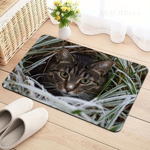 Alfombra Plana 2D <span class=keywords><strong>de</strong></span> Tierra <span class=keywords><strong>de</strong></span> Diatomeas, Diseño Gato Escondido en la Hierba, Tapete para Sala <span class=keywords><strong>de</strong></span> E-Sports, Alfombra <span class=keywords><strong>de</strong></span> Baño, Tapete <span class=keywords><strong>de</strong></span> Cocina - Product Image 4