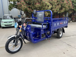 Tricycle motorisé à essence Offre Spéciale de Chine moteur à essence 175CC <span class=keywords><strong>moto</strong></span> tricycle cargaison et passagers <span class=keywords><strong>Canam</strong></span> - Product Image 5