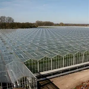 home garden use PC greenhouse polycarbonate natural greenhouses for plant