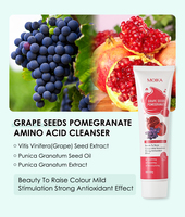 Moika Produit populaire Nettoyant pour le visage exfoliant et nourrissant aux acides aminés Nettoyant personnalisé pour le visage avec marque privée Nettoyage en profondeur