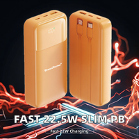 Batterie Li-Polymère Haute Capacité 20000mAh à Charge Rapide 22.5W PD, Power Bank Portable avec 2 Câbles Intégrés et Ports USB pour Utilisation en Extérieur