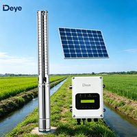 Pompe à eau submersible solaire Deye en acier inoxydable pour forage de puits profond, irrigation DC pour ferme, jardin et maison, avec onduleur