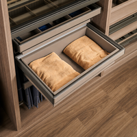 Boîte de rangement coulissante pour armoire, tiroir de rangement à fermeture douce, panier à vêtements, organisateur de placard, gain de place, en métal, moderne