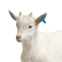 Etiquetas de Oreja para Animales con Impresión Láser para la Identificación de Ganado, Vacas, Ovejas, Cerdos y Cabras
