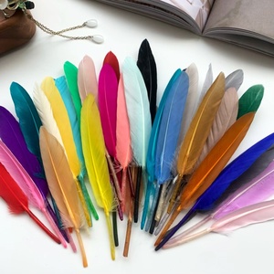 Plumas de Ganso Rectas Pequeñas, Plumas Individuales al por Mayor, Materiales para Manualidades, Joyería y Ropa - Product Image 3