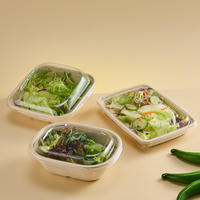 Emballage alimentaire jetable en pulpe de bagasse de canne à sucre, boîte à lunch, bol à salade en pulpe de bagasse de canne à sucre avec couvercle