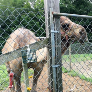 Clôture en mailles de PVC pour enclos de <span class=keywords><strong>zoo</strong></span>, animaux, moutons, chevaux, poulets, ferme, bétail, empêchant les animaux de s'échapper - Product Image 4