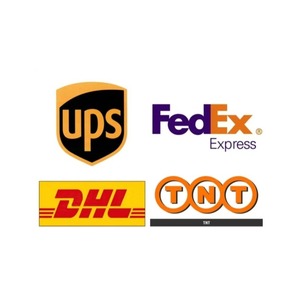 Servicio de Logística de Carga Express Internacional Bee Delivery, Envío Global desde el Puerto de Shanghái - Product Image 1