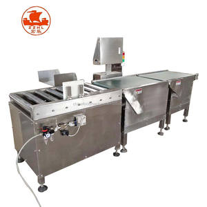 Otomatik tartım kontrol cihazı ölçek Metal dedektör rulo kontrol tartısı konveyör reddi ile - Product Image 2