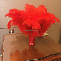 E-010 Gros Top Qualité Blanc ROSE NOIR BLEU ROUGE Décoratif Autruche Grande Plume pour DÉCORATIF